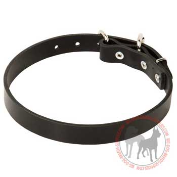 Dog leather collar for walking