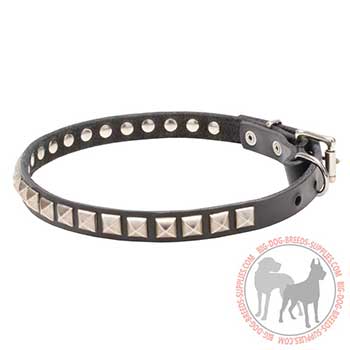 Leather Collar for Canine Trendy Performing