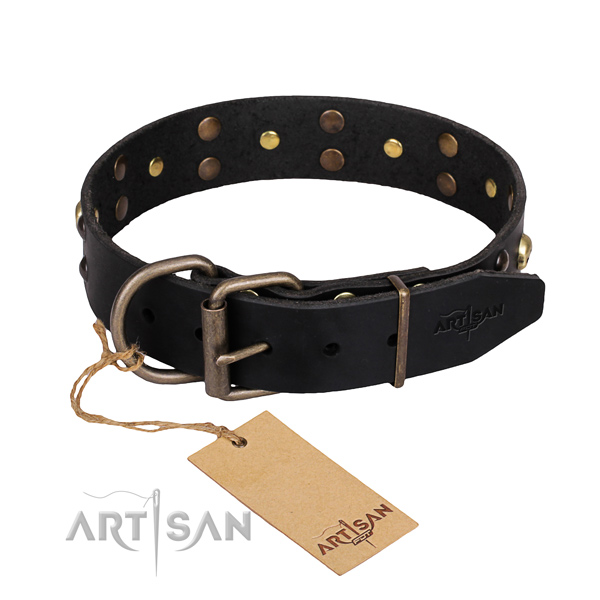 Casual leather dog collar with remarkable decorations