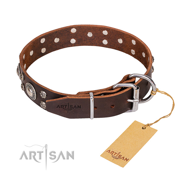 Stylish leather collar for your stunning pet