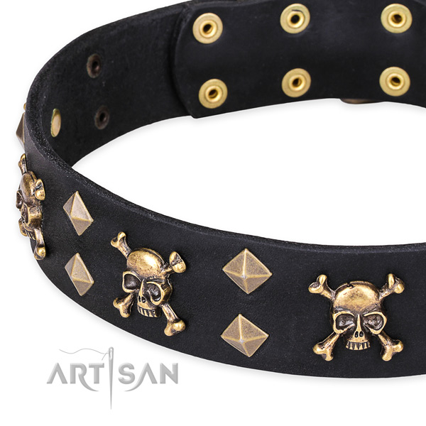 Casual leather dog collar with sensational adornments