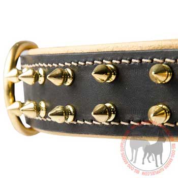 Spiked Leather Collar for Dog Fashionable Walking