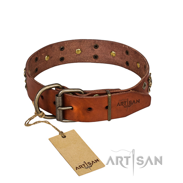 Strong leather dog collar with brass plated fittings