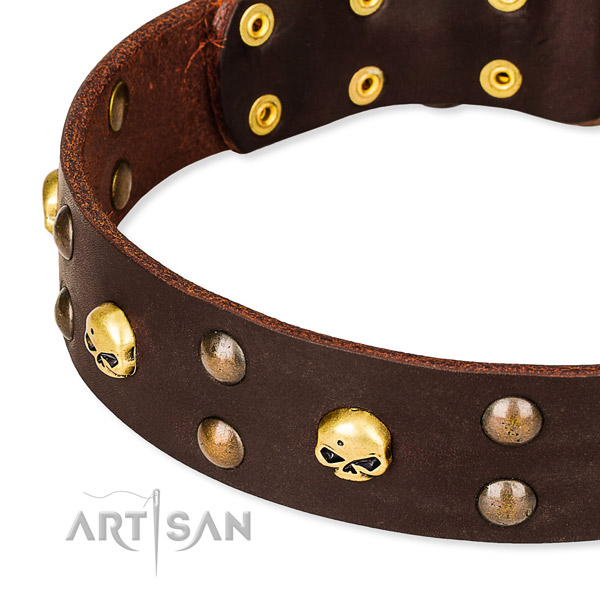 NaturalAwesome leather dog collar for reliable usage