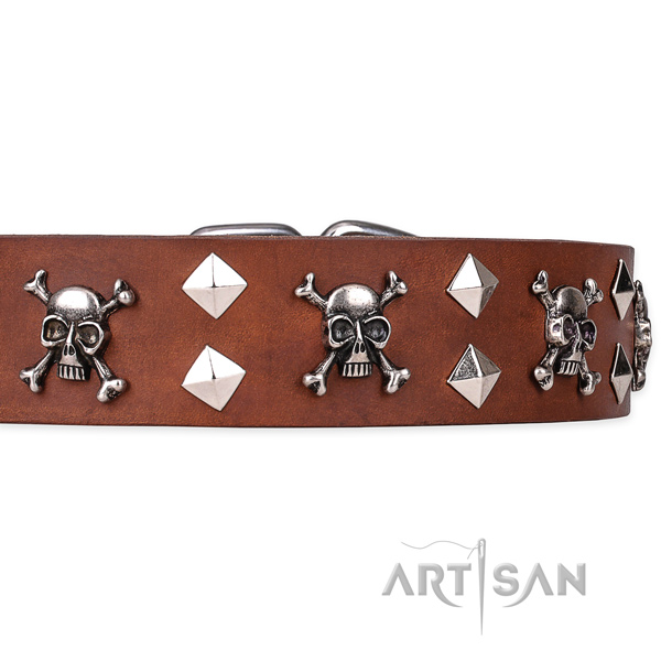 Day-to-day leather dog collar with unique design studs