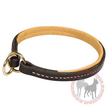 Leather Choke Collar with Nappa Padding