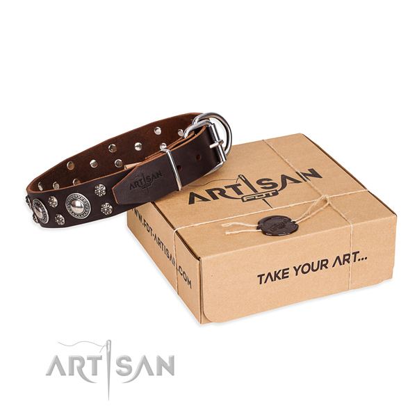 Casual leather dog collar with elegant decorations