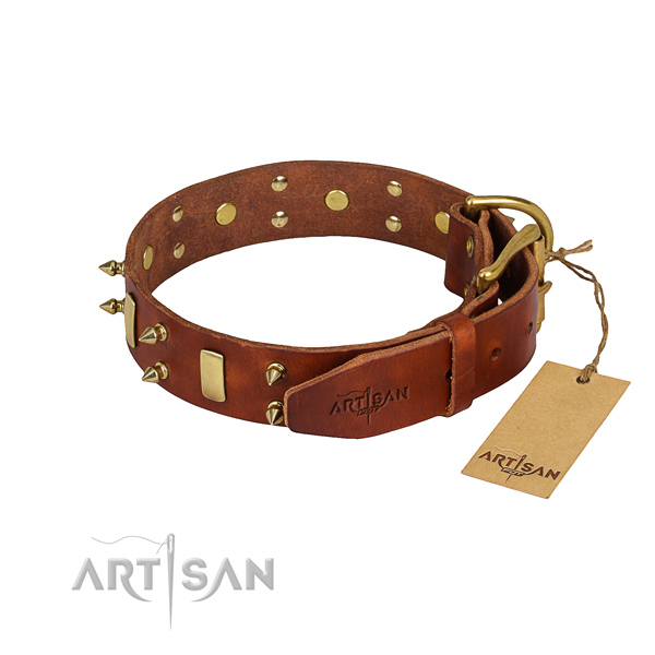 Genuine leather dog collar with thoroughly polished leather strap