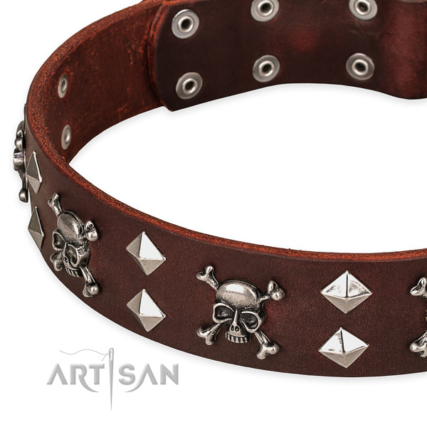 NaturalAwesome leather dog collar for fail-safe use