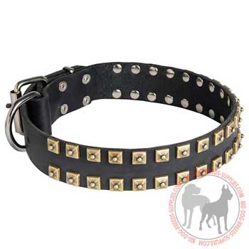 Canine Collar Made of Genuine Leather