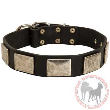 Leather Collar for Dog Walking