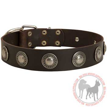 Leather Collar for Dog Training