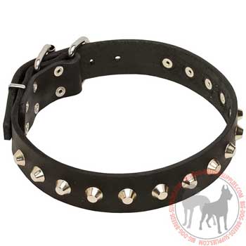 Fashion Leather Dog Collar