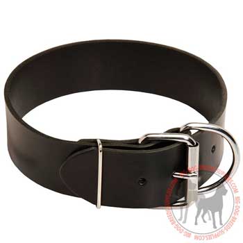 Dog leather collar with rustproof hardware
