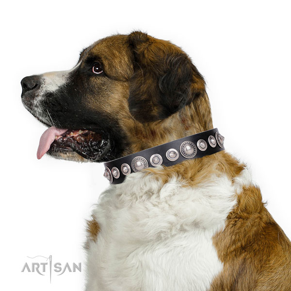 Trendy embellished leather dog collar for basic training