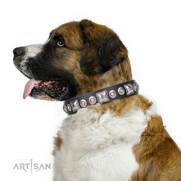 Impressive studded leather dog collar for easy wearing