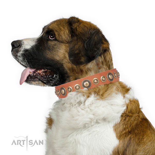 Reliable buckle and D-ring on leather dog collar for walking