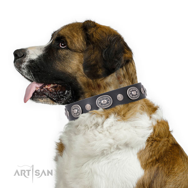 Reliable buckle and D-ring on full grain leather dog collar for walking