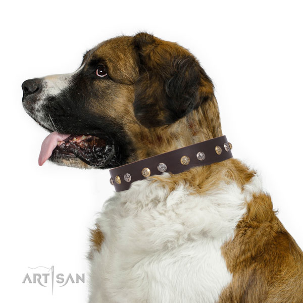 Full grain leather dog collar with corrosion resistant buckle and D-ring for handy use