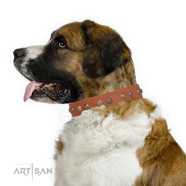 Natural leather dog collar with durable buckle and D-ring for walking
