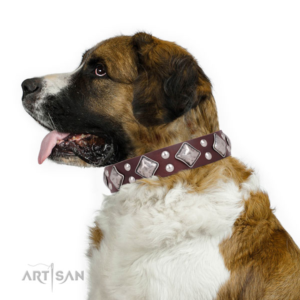 Everyday walking adorned dog collar made of durable genuine leather