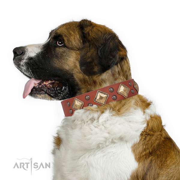Fancy walking adorned dog collar made of reliable leather