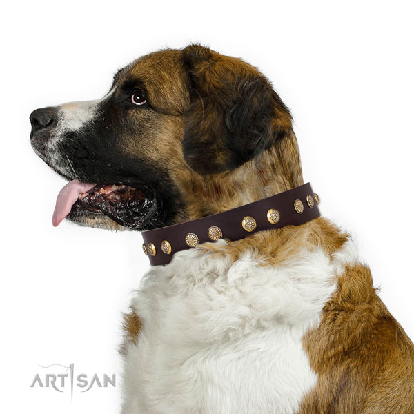 Designer adornments on comfy wearing leather dog collar