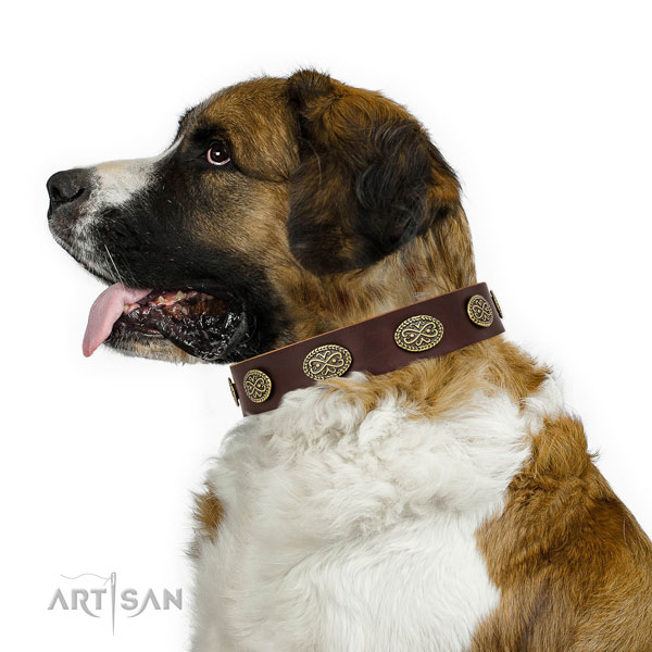 Remarkable decorations on fancy walking natural genuine leather dog collar