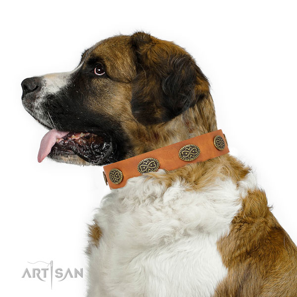 Designer embellishments on daily use genuine leather dog collar