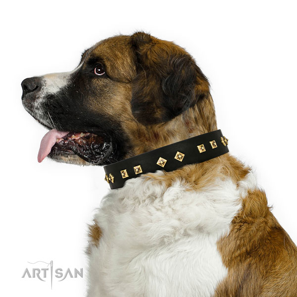 Unique adornments on basic training full grain natural leather dog collar