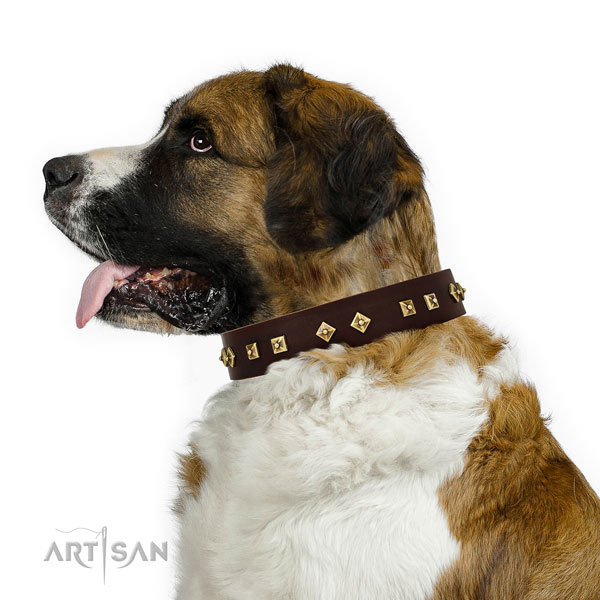 Stylish design adornments on daily use full grain natural leather dog collar