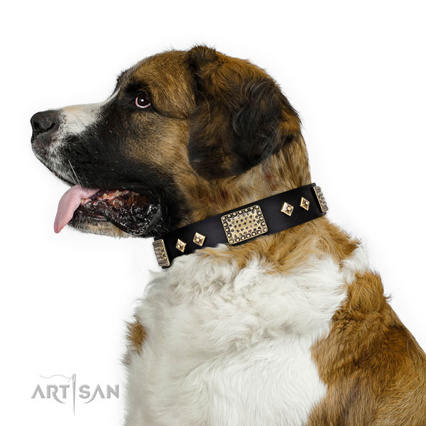 Reliable daily walking dog collar of leather