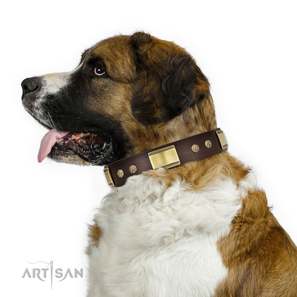 Everyday walking dog collar of natural leather with trendy adornments