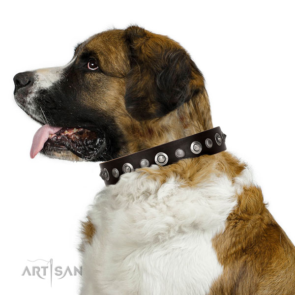 Finest quality natural leather dog collar with stylish design adornments