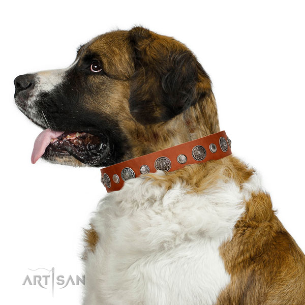 Stylish Full grain natural leather dog collar with corrosion proof hardware