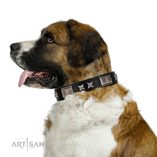 Comfortable wearing quality genuine leather dog collar with adornments