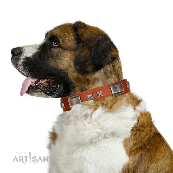 Walking top notch natural leather dog collar with embellishments