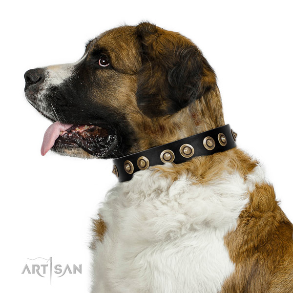 Comfortable wearing dog collar of leather with exquisite studs