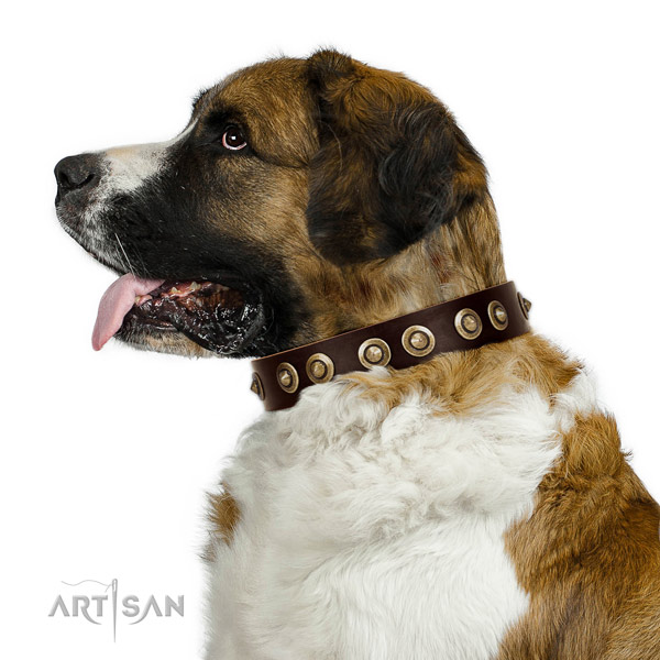 Rust resistant D-ring on leather dog collar for easy wearing
