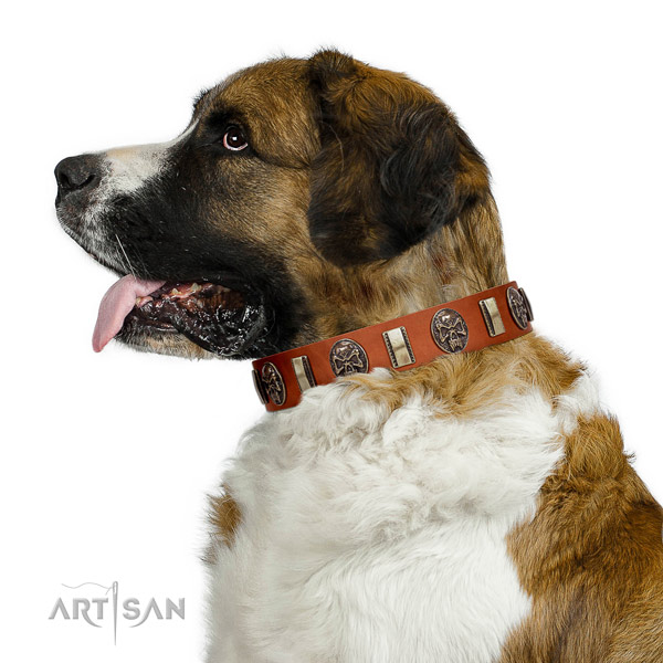 Full grain leather dog collar with impressive embellishments