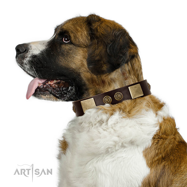 Walking dog collar of natural leather with stunning adornments
