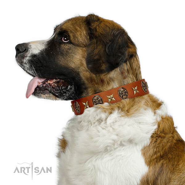 Trendy full grain natural leather dog collar with studs