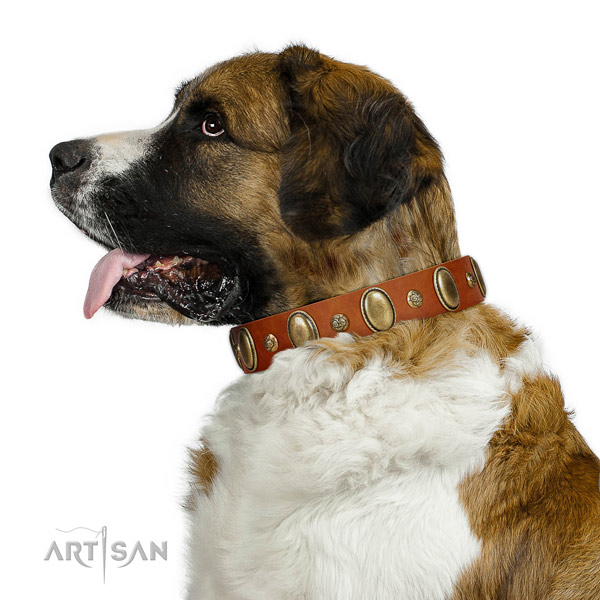 Awesome leather dog collar with strong hardware