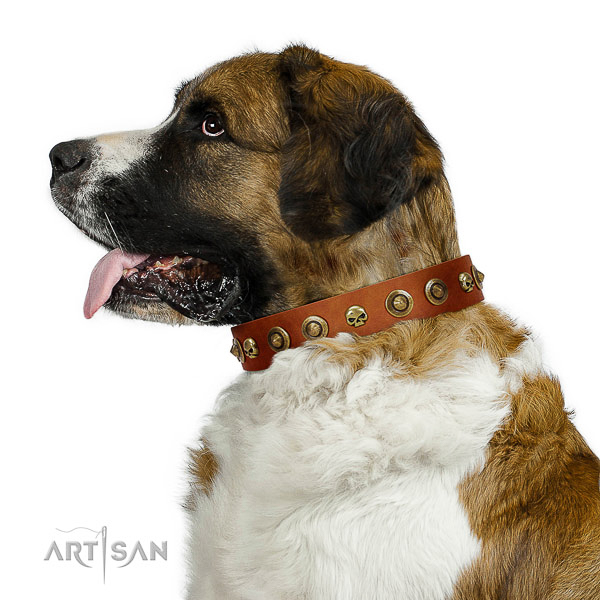 Quality leather dog collar with decorations for your canine