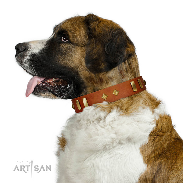 Stylish walking high quality leather dog collar with embellishments