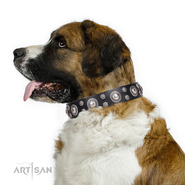 Moscow Watchdog handcrafted genuine leather dog collar for fancy walking