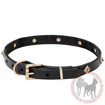 Leather Dog Collar for Walking with Comfort