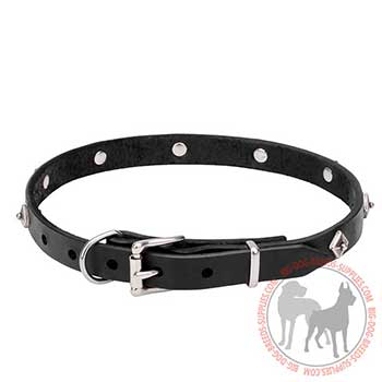 Canine Leather Collar with Rust-proof Hardware