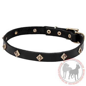 Narrow Canine Leather Collar with Studs