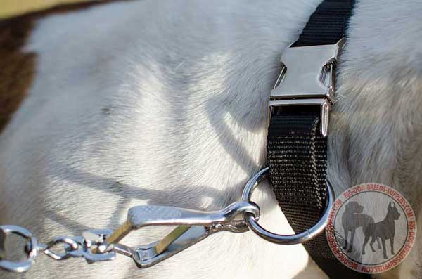 Nickel O-ring And Quick Release Buckle stitched to Nylon Dog Collar